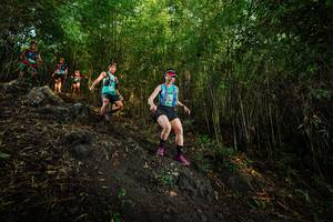 BIB: 
                            <button type="button" onclick="openModal(25102289)" class="btn btn-primary btn-sm float-right btn-popup" data-toggle="modal" data-target=".modal-high-quality">
                        <i class="fas fa-shopping-cart"></i> Add to Cart
                    </button>
                                            <button type="button" onclick="isThisMe(25102289, true)" class="btn btn-success btn-sm float-right btn-popup btn-isme hidden" data-toggle="tooltip" data-placement="bottom" title="นี่คือรูปของคุณใช่ไหม คลิกที่นี่เพื่อเอาเข้าอัลบั้ม">
                        <i class="fas fa-plus"></i> Add to album
                    </button>
                    <button type="button" onclick="isThisMe(25102289, false)" class="btn btn-warning btn-sm float-right btn-popup btn-isnotme hidden">
                        <i class="fas fa-ban"></i> Remove from album
                    </button>